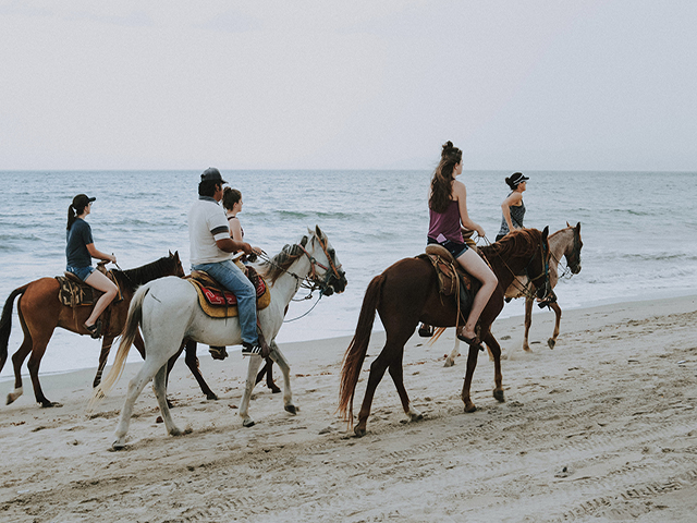 Paardrijden Zandvoort